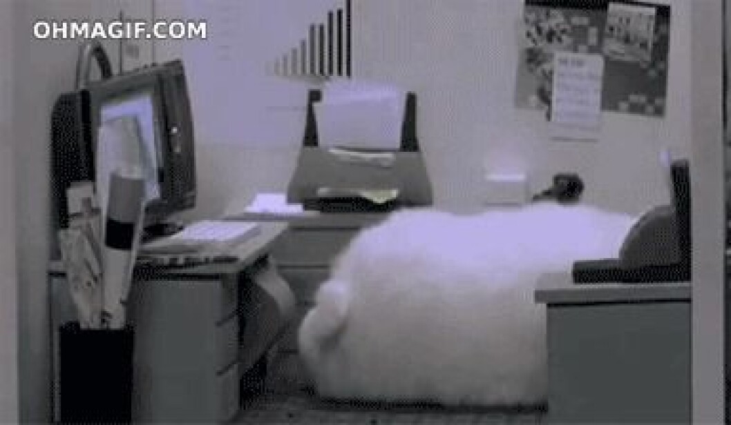 Via <a href="http://giphy.com/gifs/pqCxL43whDKzS" target="_blank" rel="noopener">giphy.com</a> Via giphy.com