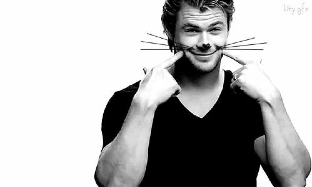 Via: <a href="http://giphy.com/gifs/love-chris-hemsworth-sSURbgtUwgjwQ" target="_blank">Giphy</a> giphy (4)