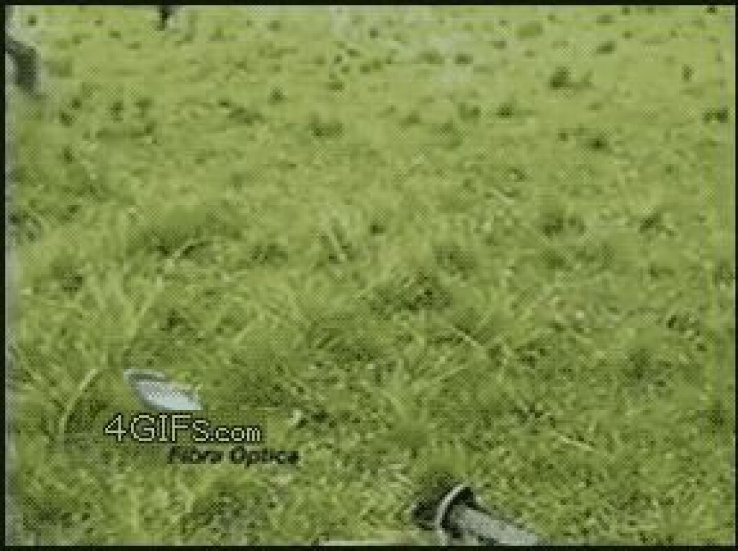 giphy-6