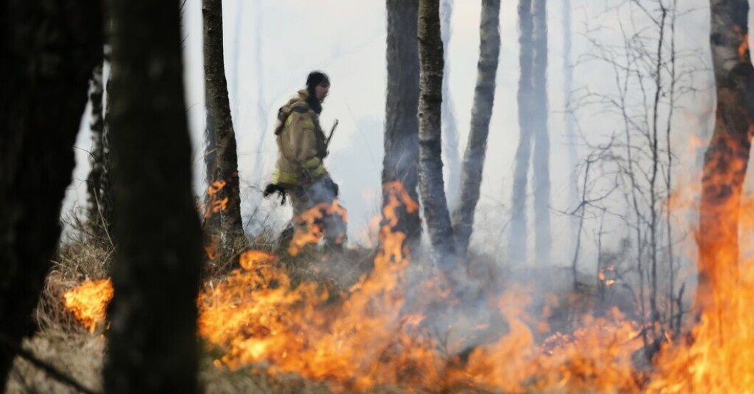 Gräsbränder sprids snabbt när det är soligt och blåsigt. Arkivbild. SMHI: Stor risk för gräsbränder
