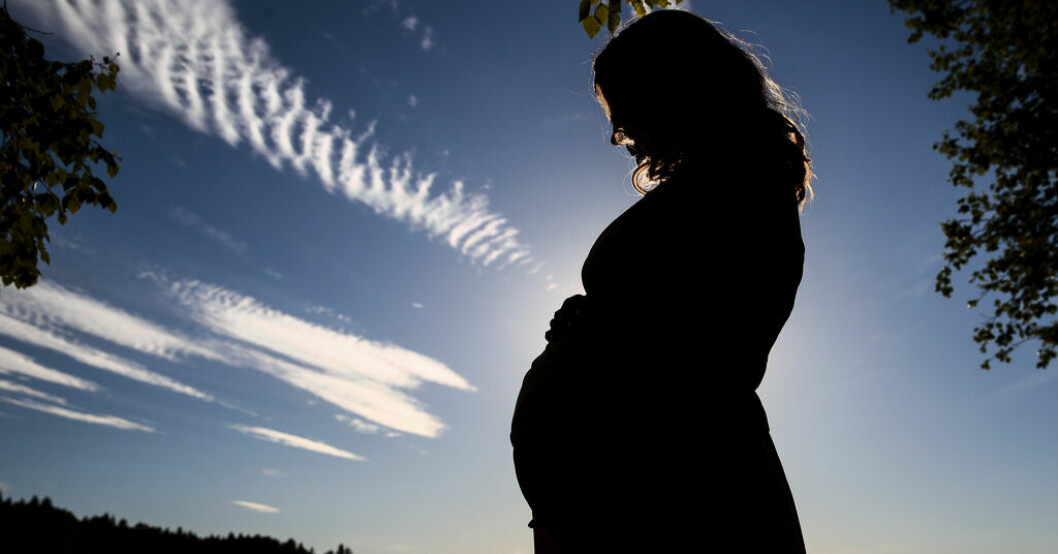Gravid kvinna i motljus.