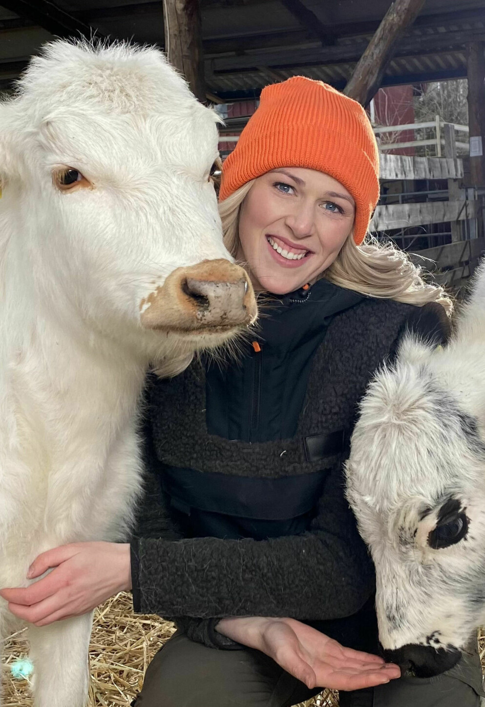 Greta Berglund. Greta Berglund tillsammans med en ko