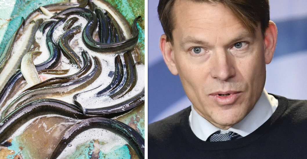 PM Nilsson får börja nytt jobb – efter ålskandalen