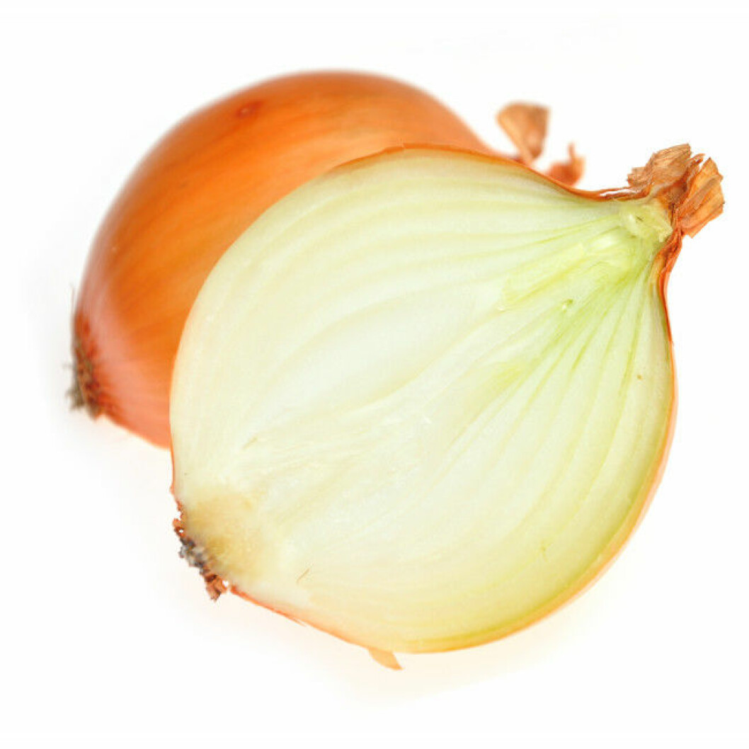 Ripe onion on a white background