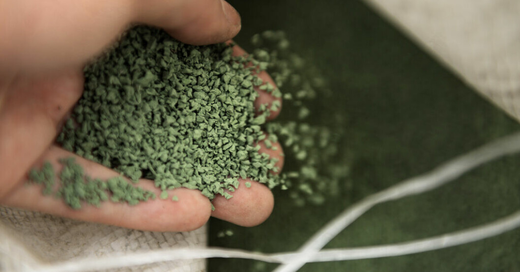 Gummigranulat av mikroplast används till konstgräsplaner och lagras i stora säckar. Det kan nu komma att bli förbjudet efter beslut i en EU-kommitté med representanter från alla EU-länder. Arkivbild. EU:s beslut – konstgräset måste bytas ut