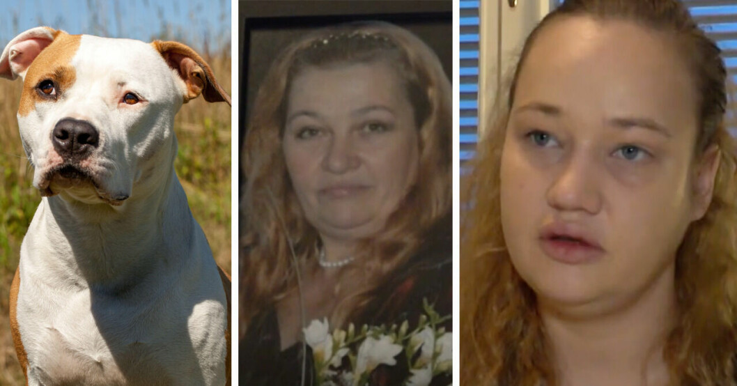 Gunas mamma blev ihjälbiten av sin hund i Robertsfors: ”Som en skräckfilm”