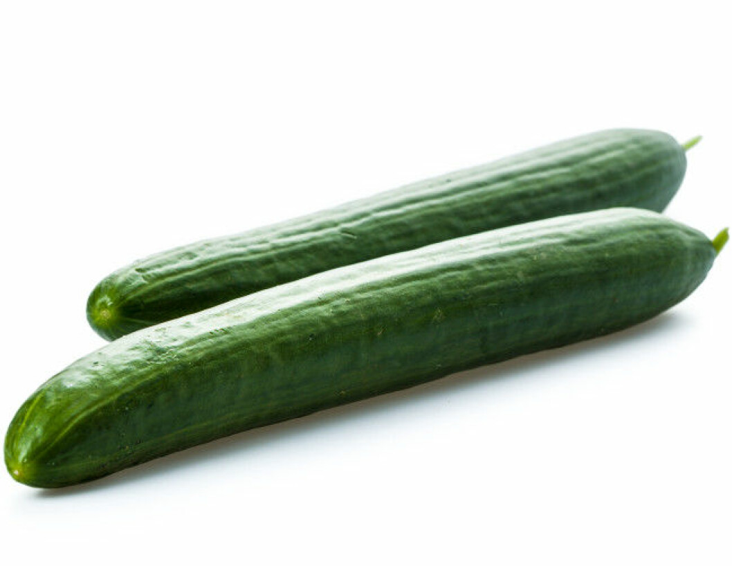 fresh cucumber on a white background