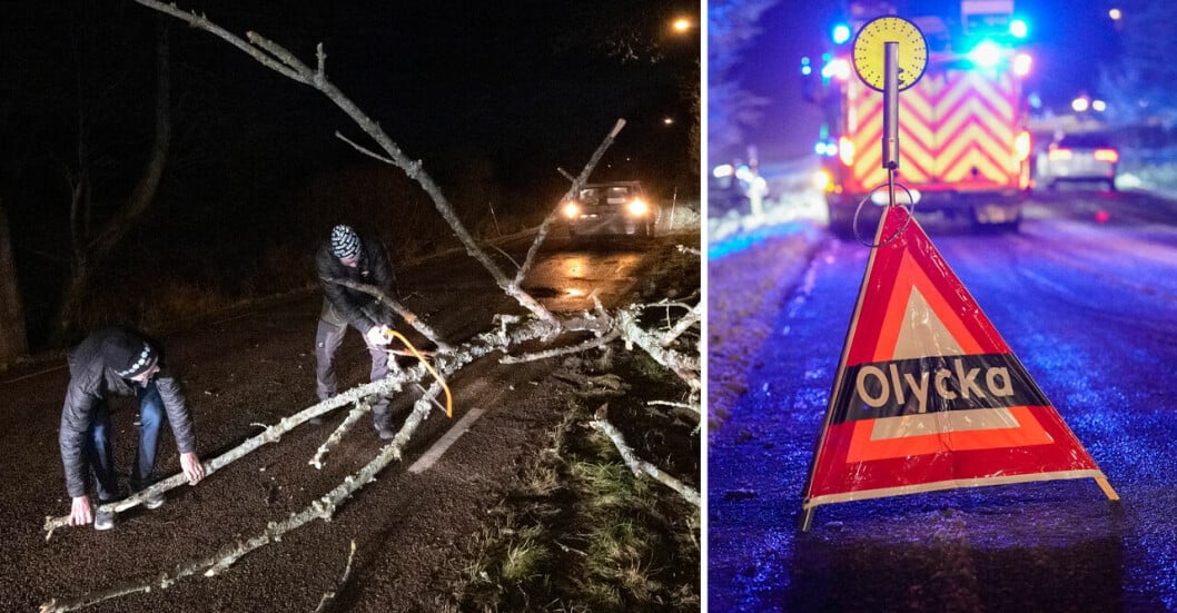 En väg i Skåne rensas från nedfallna träd. En skylt på vägen varnar om en olycka.