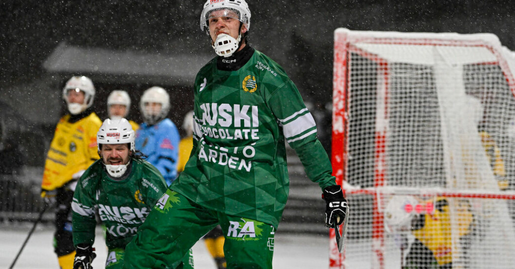 Hammarbys David Jansson ställs mot Vetlanda i åttondelsfinalen. Arkivbild. Tungviktsmöte väntar i bandyns slutspel