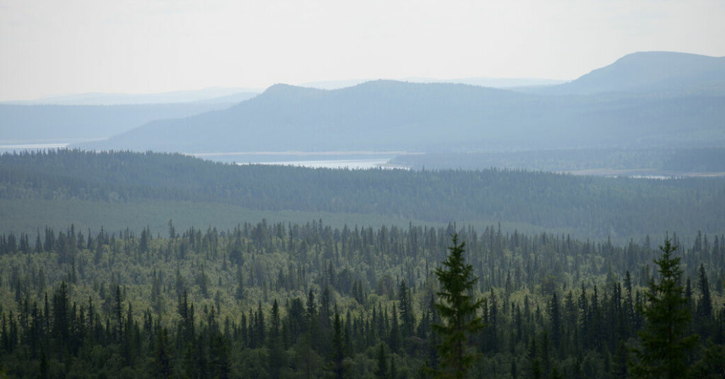 Singelolyckan med fyrhjulingen skedde i Härjedalen. Arkivbild. Härjedalen.