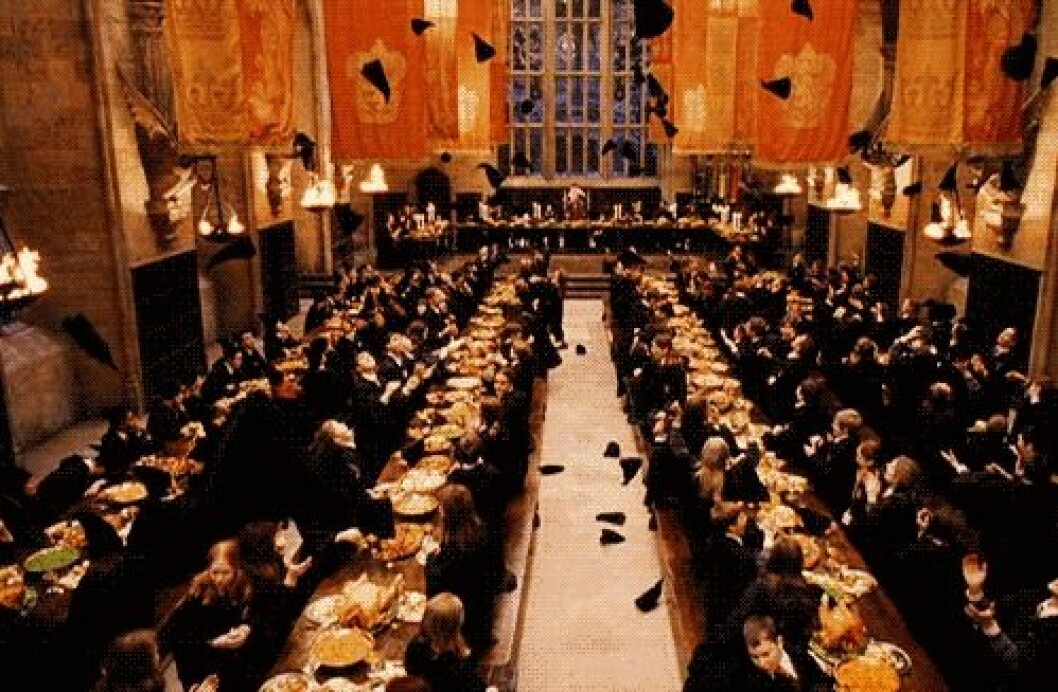 Via: <a href="http://giphy.com/" target="_blank">Giphy</a> harry-potter