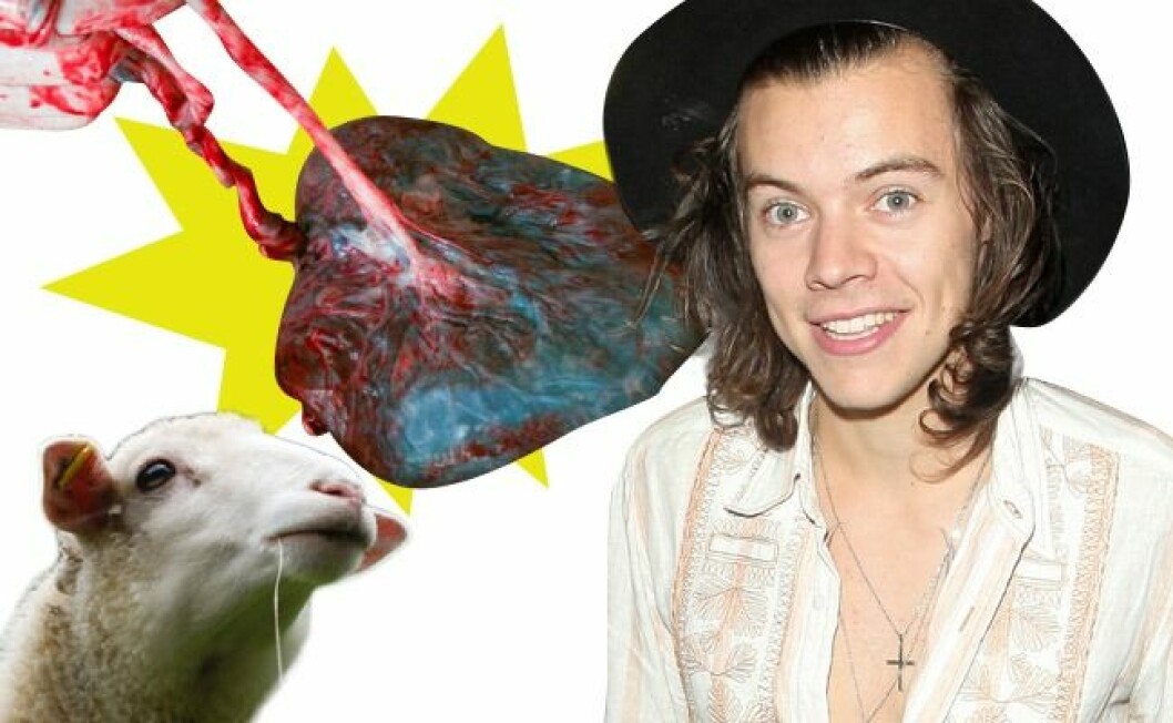 Montage: Agnes Forsell harry_moderkaka
