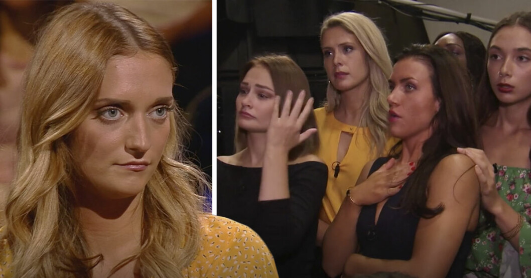 Bachelor Kritik Bachelor Kritik