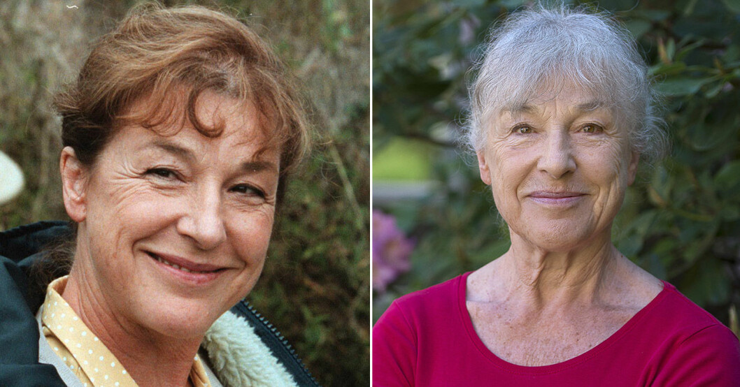 Helena 1999 och 2016. Helena Brodin Friberg 1999 och 2016.