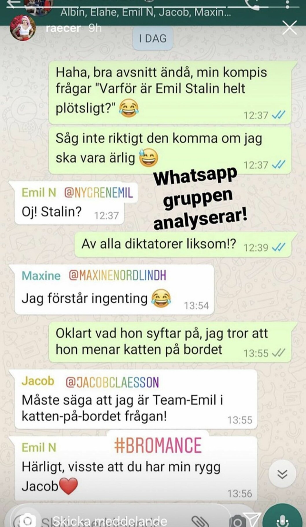 Elina la på sin Insta story ut vad som skrevs i deltagarnas chattgrupp.