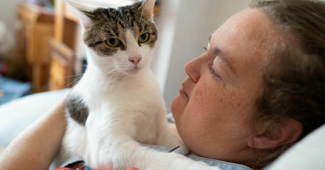 Katten Billy räddade livet på Sam med hjälp av hjärt- och lungräddning.