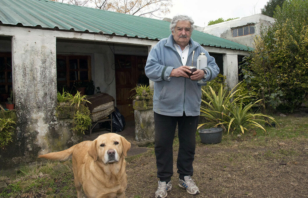 Foto: Mario Goldman/AFP//TT NYHETSBYRÅN housefarm