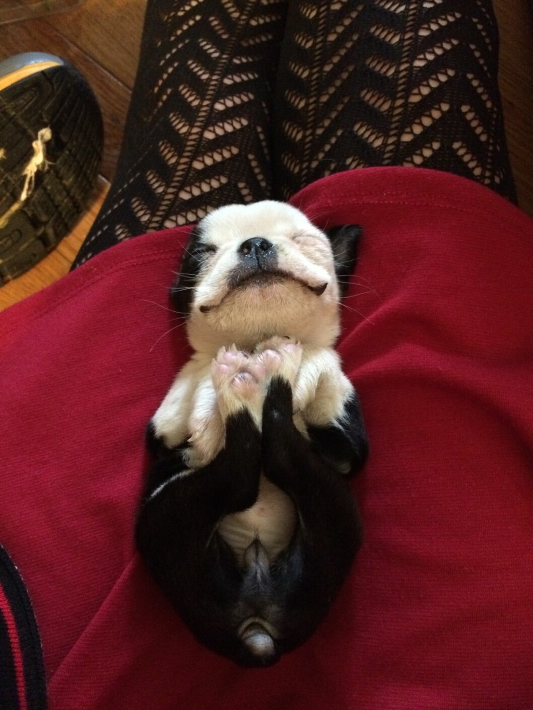 Foto: <a href="http-::imgur.com:ka0YzwJ">Imgur</a> http-::imgur.com:ka0YzwJ