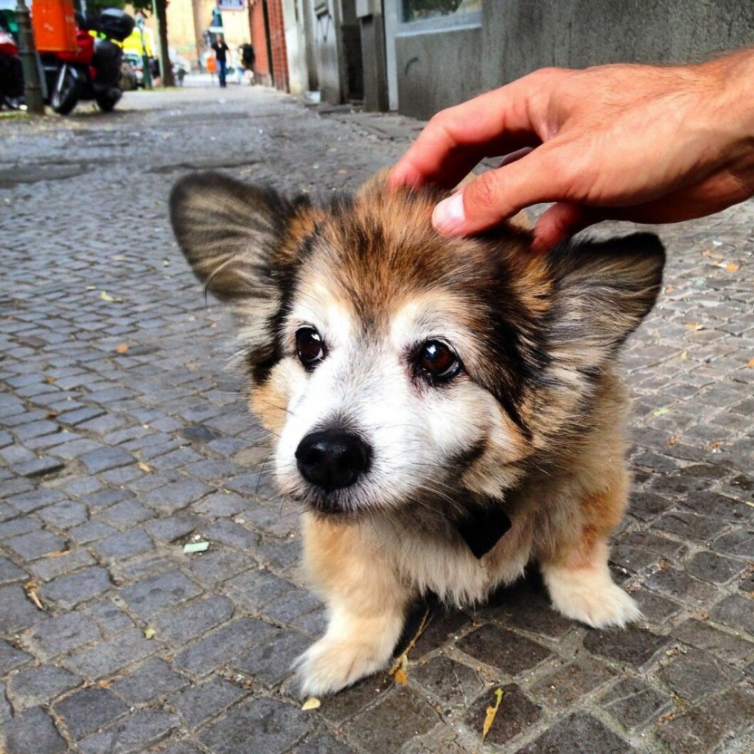 Foto: <a href="http-::imgur.com:kMT9xpn">Imgur</a> http-::imgur.com:kMT9xpn