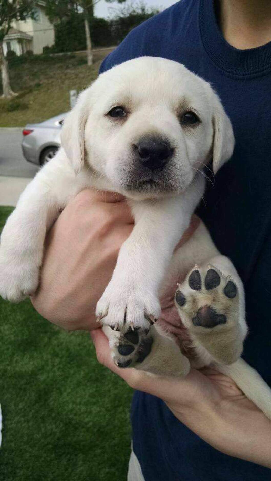 Foto: <a href="http://imgur.com/KnRjyD8">Imgur</a> http-::imgur.com:KnRjyD8