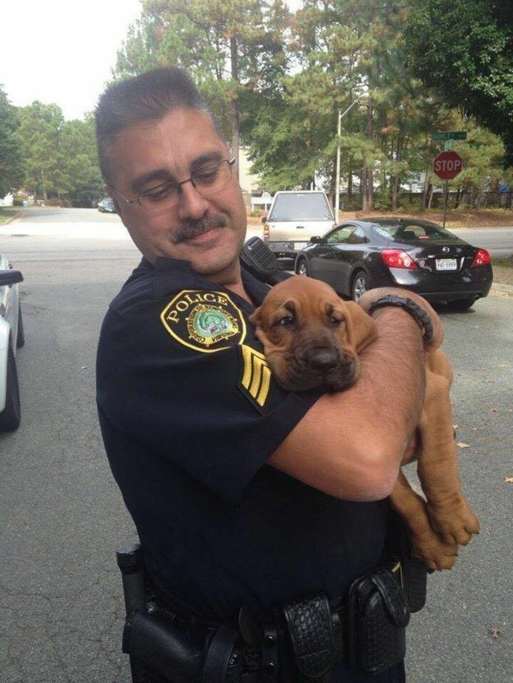 Foto: <a href="http://imgur.com/yGAO5ay">Imgur.com</a> hund3