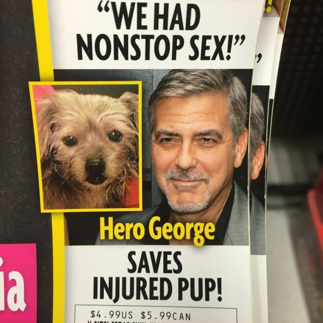 Via: <a href="http://imgur.com/va1oeFo" target="_blank">Imgur</a> hund