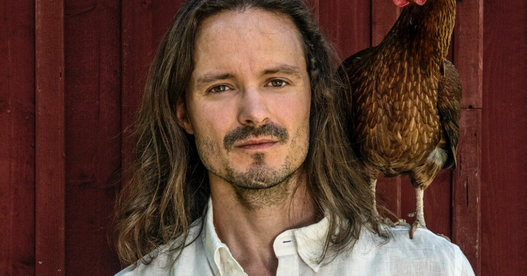I motiveringen lyfts Matthew Petersons originella konstnärskap och hans uppväxt i USA och Sverige. Arkivbild. Matthew Peterson får tonsättarpris