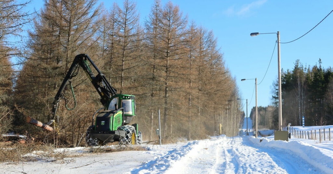 I veckan har de första arbetena med att bygga ett gränsstängsel mot Ryssland påbörjats i finländska Pelkola i södra Karelen. Här röjs för miljardstängslet mot Ryssland