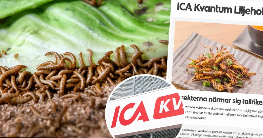 Ica Liljeholmen får kritik över artikel om insekter.