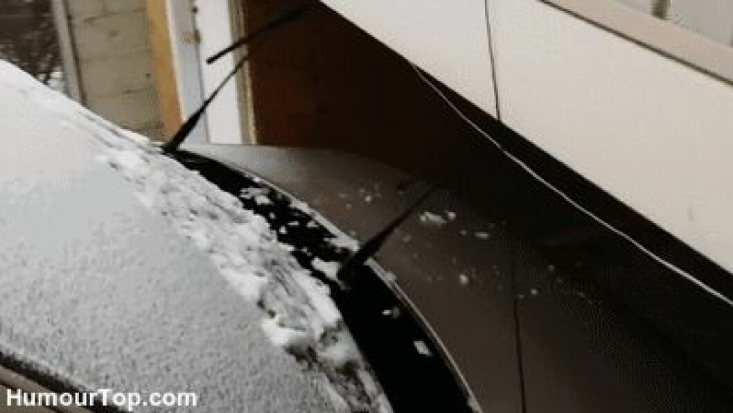 Via: <a href="http://giphy.com/gifs/cat-4qw6Eeo8JIq8U" target="_blank" rel="noopener">Giphy</a> idiot6