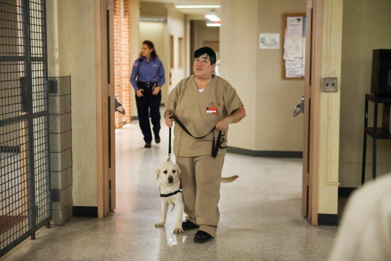 ORANGE IS THE NEW BLACK, Lea DeLaria, 'Blood Donut', (Season 1, Ep. 107, aired July 11, 2013), 2013-
