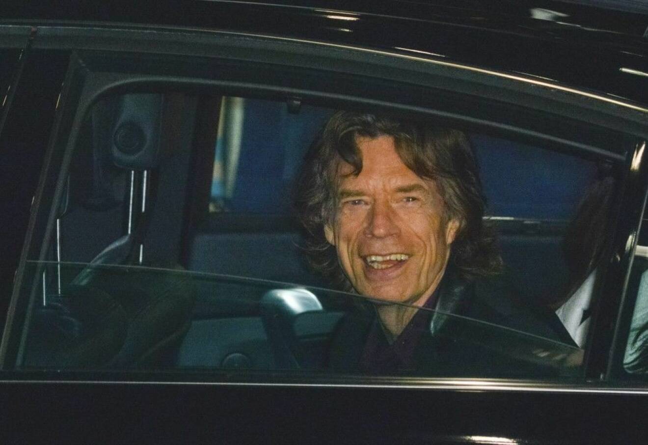 Mick Jagger betalar inte gärna för konst. Foto: Stella Pictures