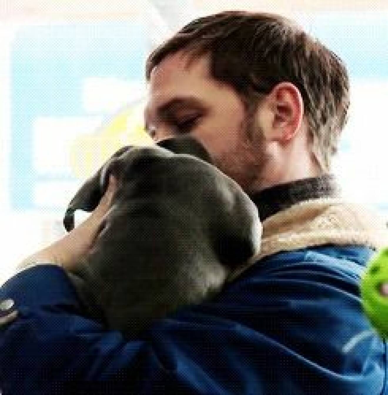 http://giphy.com/search/tom-hardy