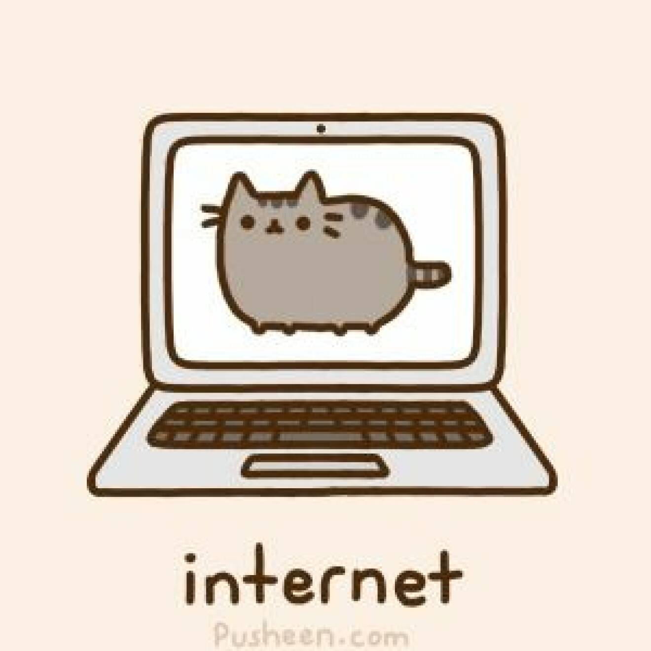 http-::giphy.com:gifs:internet-cat-2nJW0Mx0T9NV6
