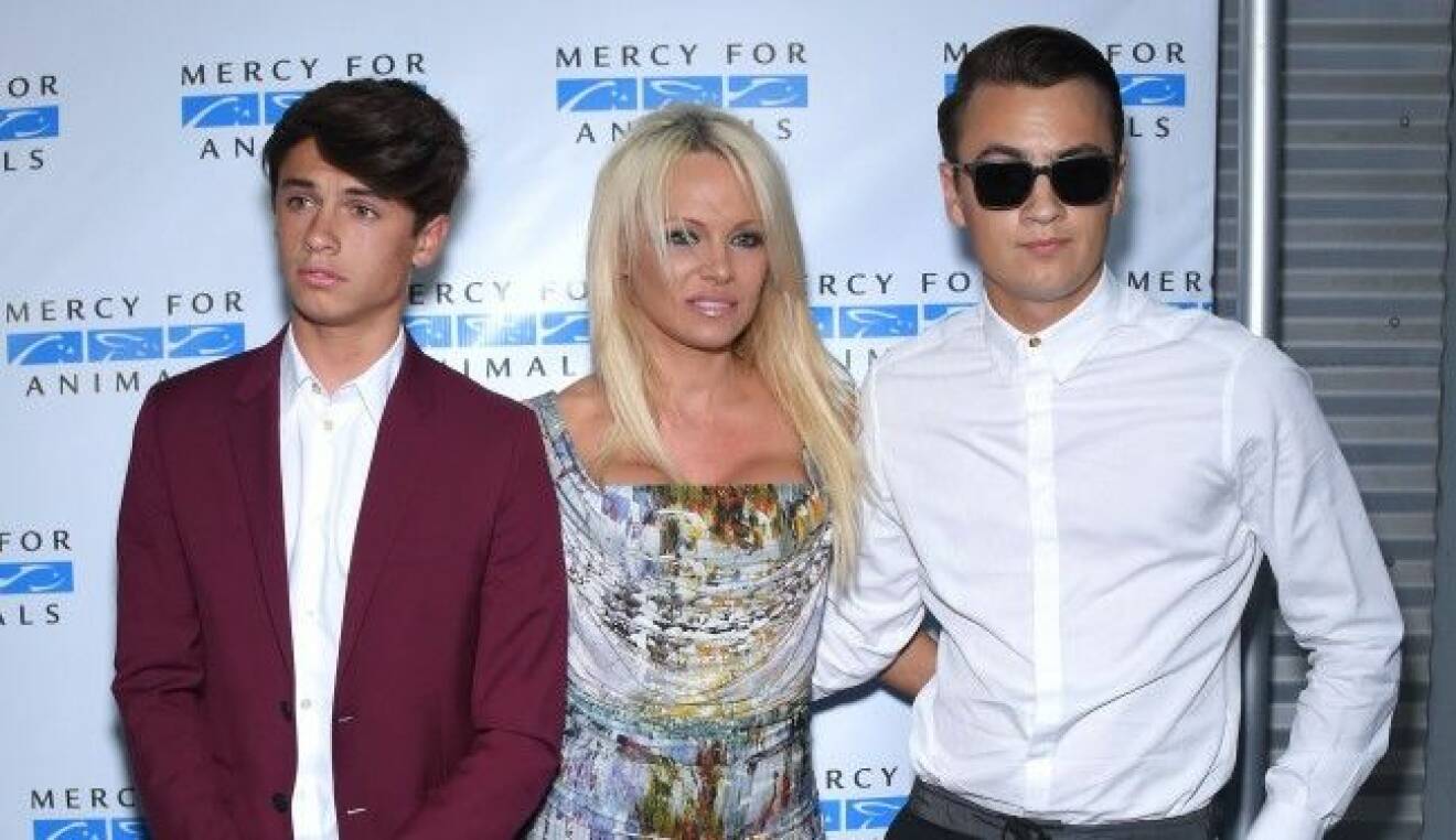 Sönerna Brandon och Dylan har stöttat Pamela Anderson. Foto: All Over