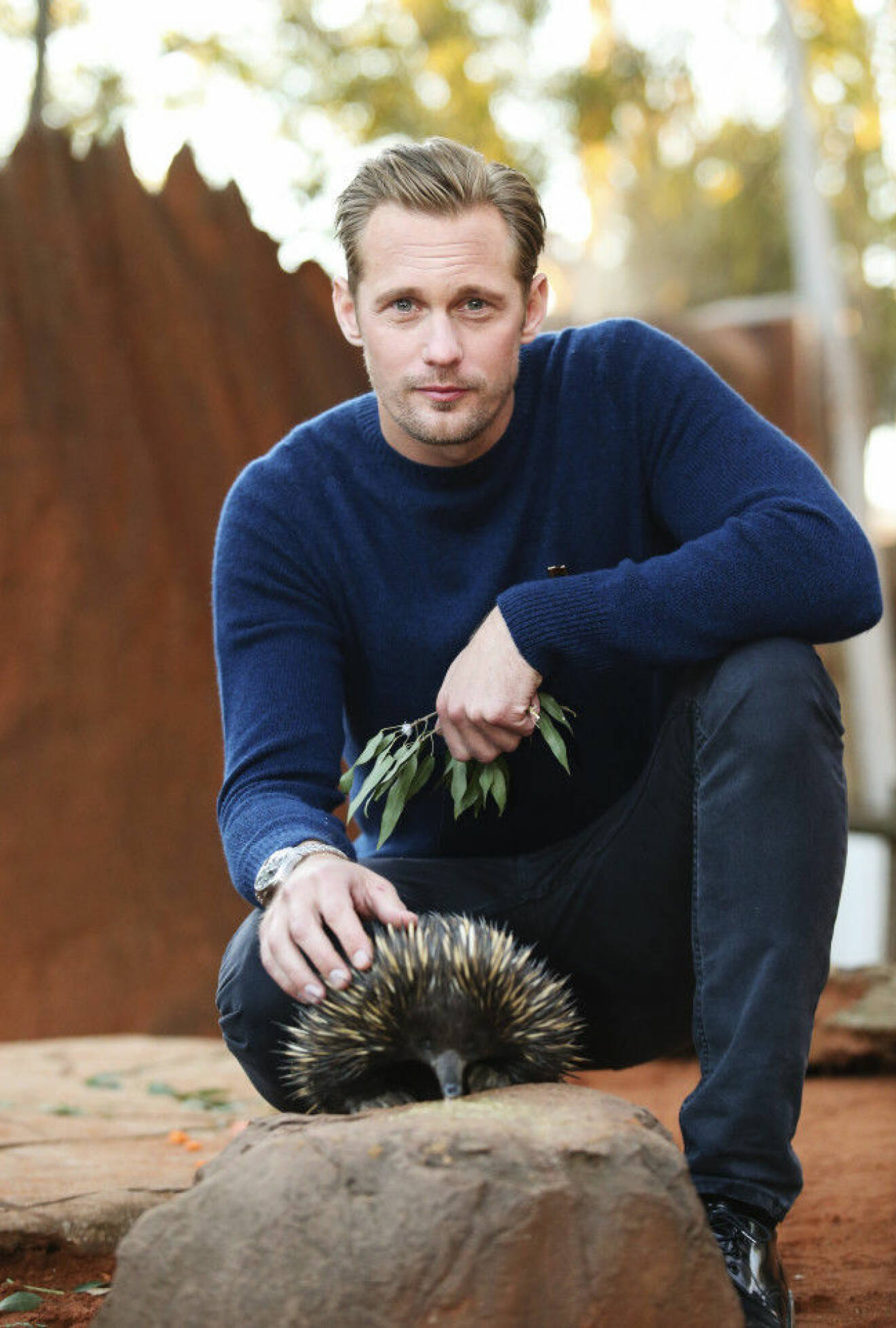 Alexander Skarsgard poses with an echidna during a media call for 'The Legend of Tarzan' at Wild Life Sydney in Sydney, New South Wales
