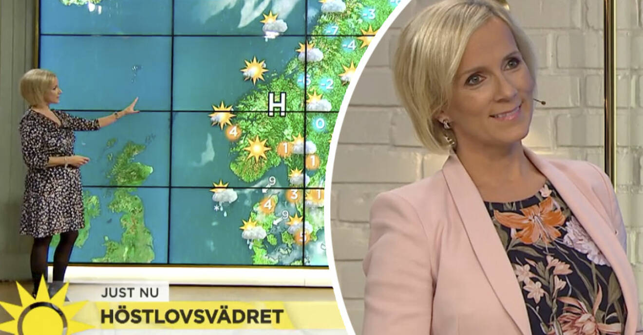 Ulrika Andersson försvinner från TV4 Nyhetsmorgon