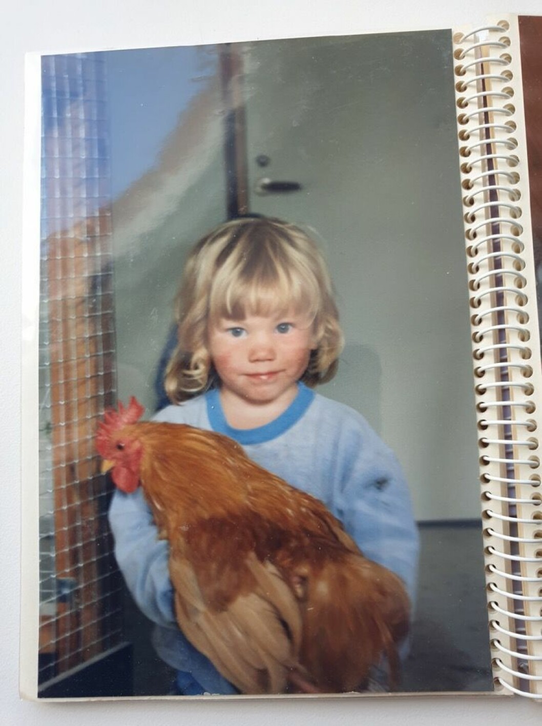 Linn Lund och hennes tupp som försvann spårlöst. Linn Lund och hennes tupp som försvann spårlöst.