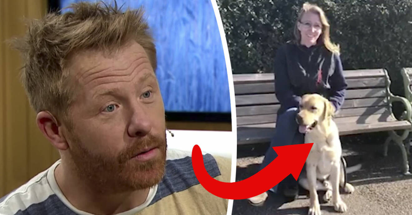 Hundcoachen Henrik Steen avslöjar i TV4:s Nyhetsmorgon att hunden Solo fått ett jobb.