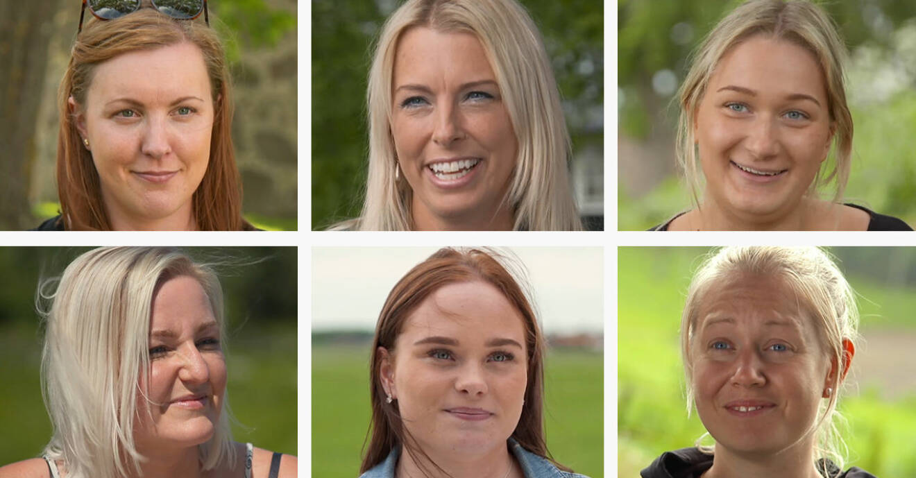Isabell Jansson, Susanne Bostrand, Minna Lindberg, Josefin Bertelsen, Wilma Karlsson och Anna Jonsson i Bonde söker fru 2019.