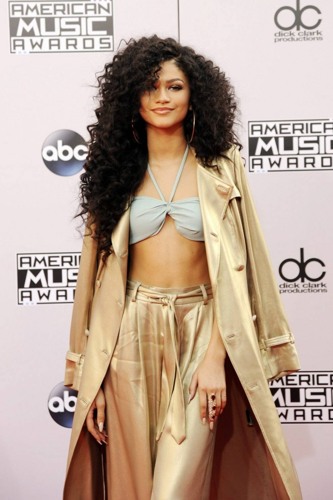 42nd Annual American Music Awards, Los Angeles