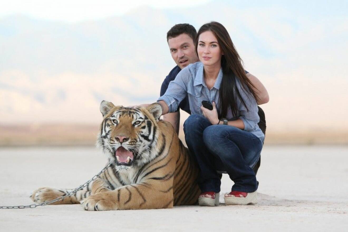 Skådisparet Brian Austin Green, 41, och Megan Fox, 29, lät fota sig med en stor majestätisk respektingivande tiger när de besökte The Big Cat Encounters i Nevada för några år sedan.