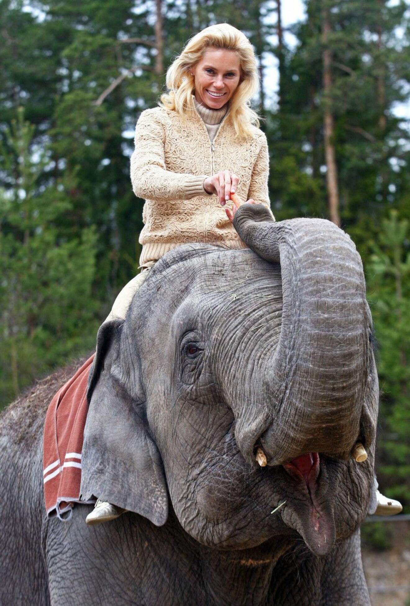 Svenska Hollywoodfrun Anna Anka, 44, var ett stort namn 2010. Därför tyckte både hon och TV3 att det var idealiskt att hon fotograferades då hon red på en elefant i Kolmården 2010.