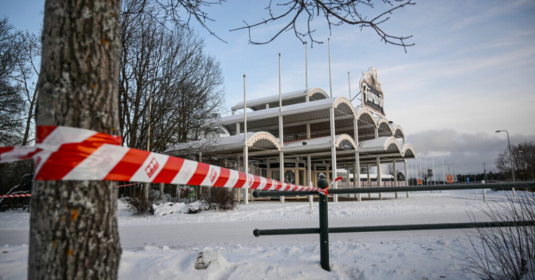 Experten: Flera brott när schimpanserna på Furuvik dödades