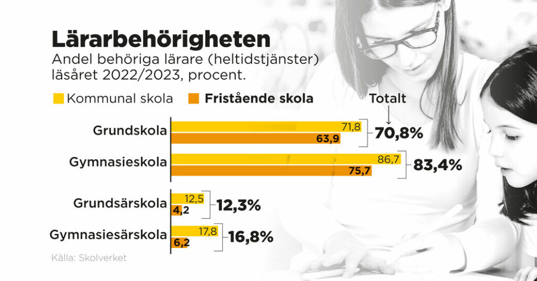 Skolverkets chef: Höj kraven på lärarbehörighet