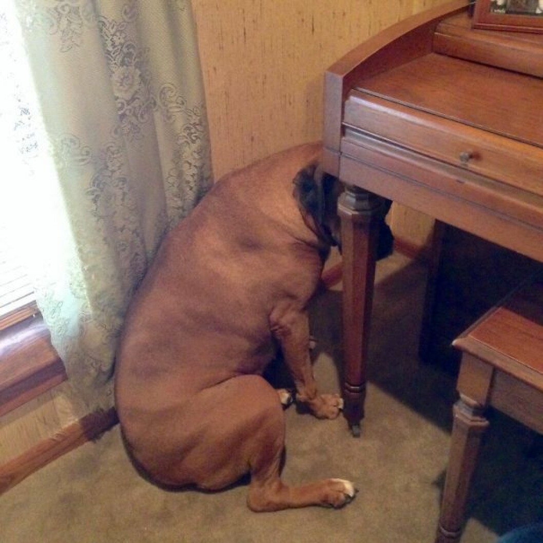 image1316__605