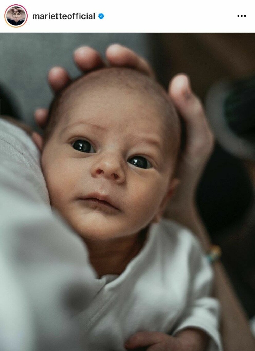 <span class=" bold" data-lab-bold_desktop="bold">Mariette Hanssons och Isabelle Grönqvists son Dante. FOTO: Mariette Hansson/instagram</span>