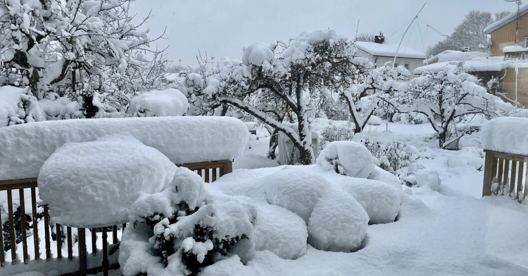 Telias kunder i bland annat Enskede i södra Stockholm har fått varnande sms. Bilden visar snötäcket som täcker Enskede. Snötäcket i Enskede.