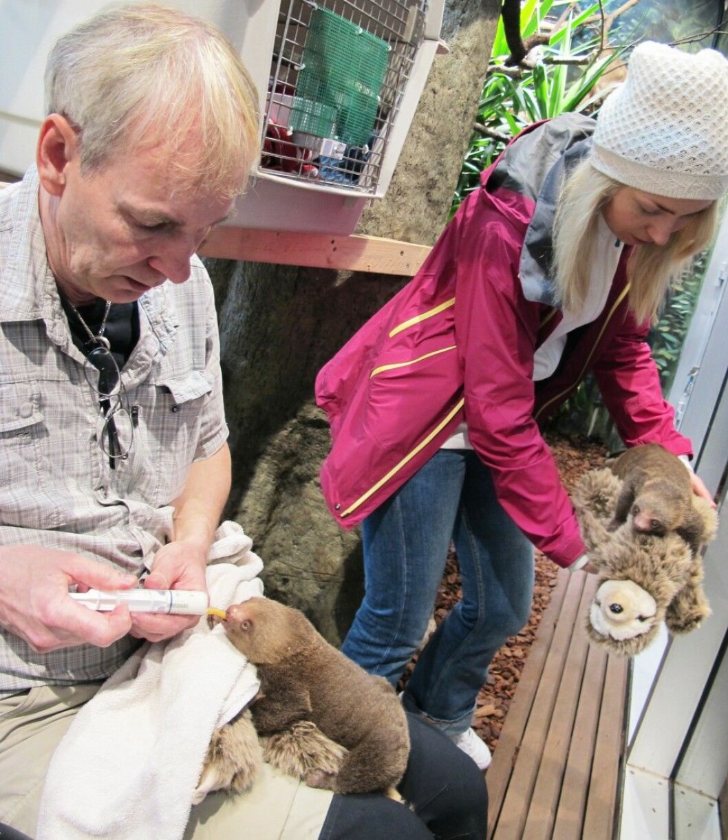 Bosse Jonsson har jobbat på Skansen-Akvariet i 34 år. Foto: Angelica Jaako IMG_4195 kopia