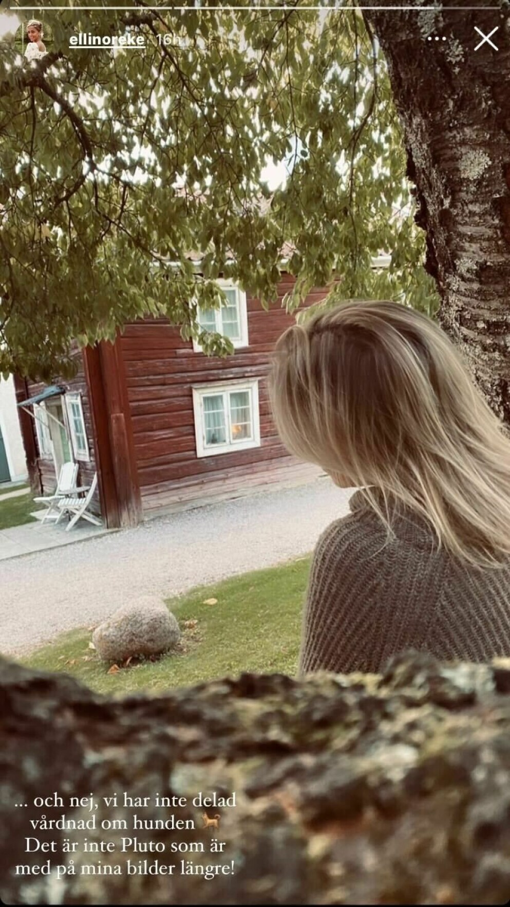 Ellinor Eke om hunden. Ellinor Eke om hunden.